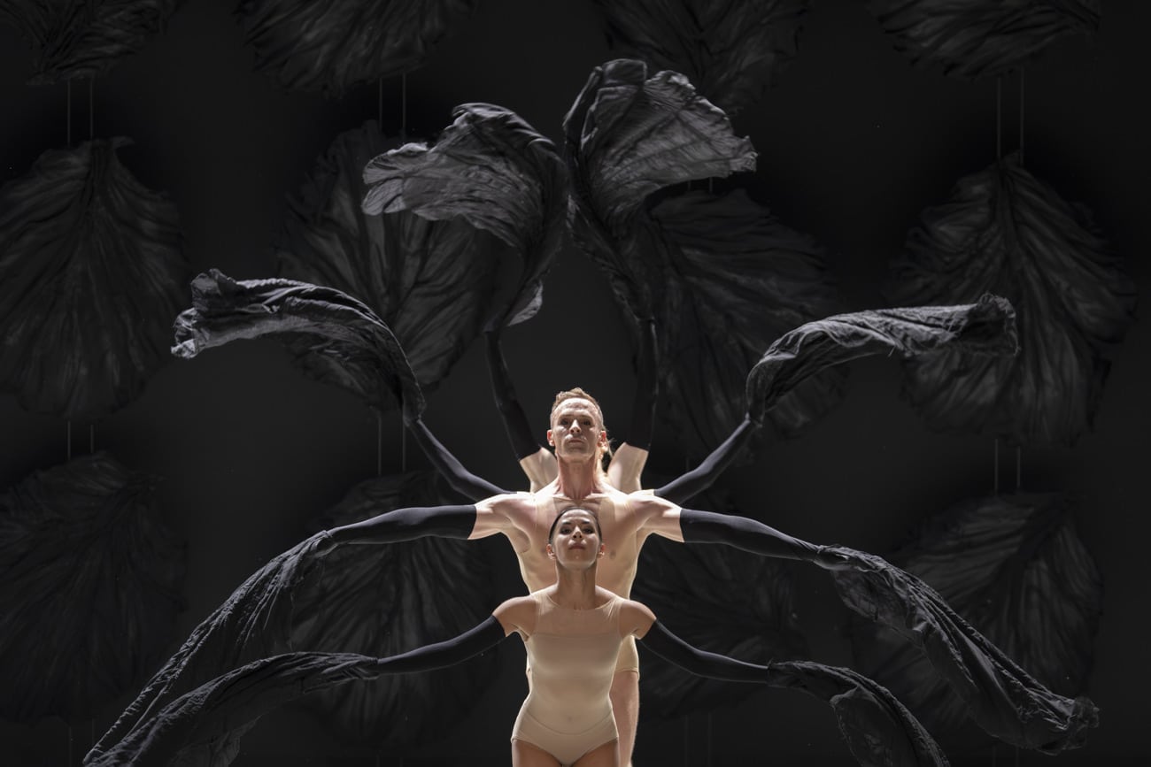 Malandain Ballet Biarritz